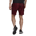 Adidas Club Graphic Shorts (HB9084)
