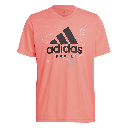 Adidas Pad Graphic Tee M (HG1093)